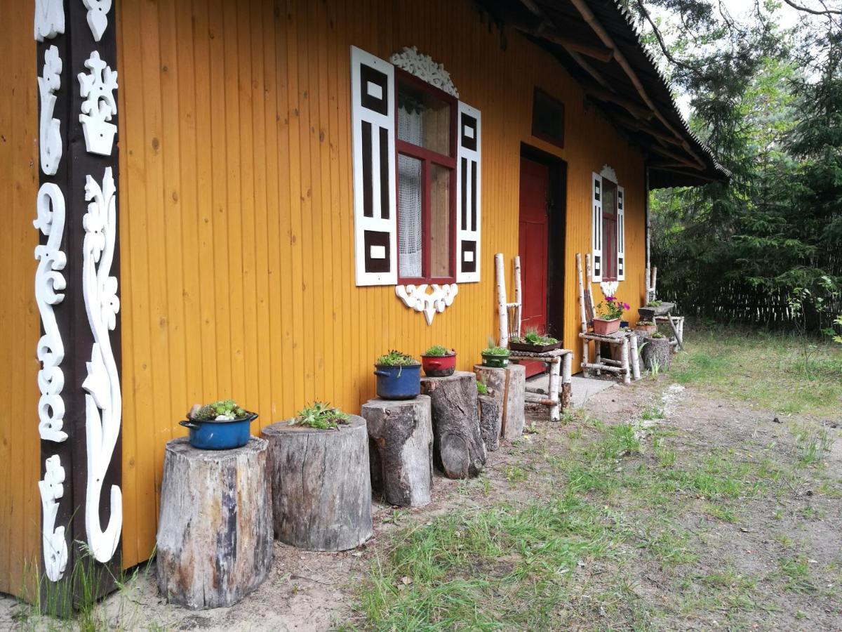 Bora Zdroj - Pokoj Czteroosobowy 1 Narewka エクステリア 写真